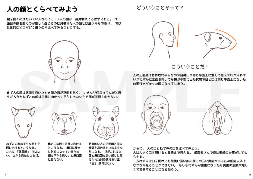 サンプル画像2