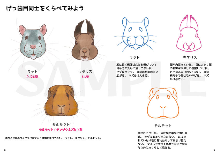 サンプル画像4
