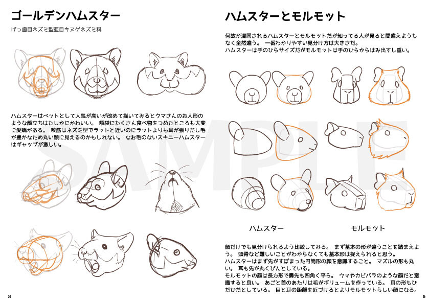 サンプル画像5