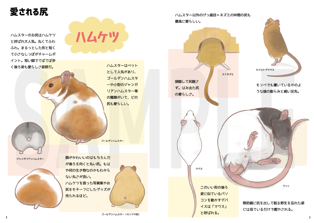 サンプル画像0