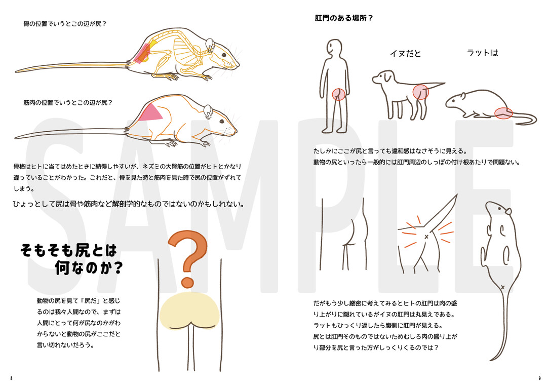 サンプル画像1