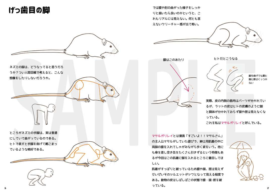 サンプル画像2