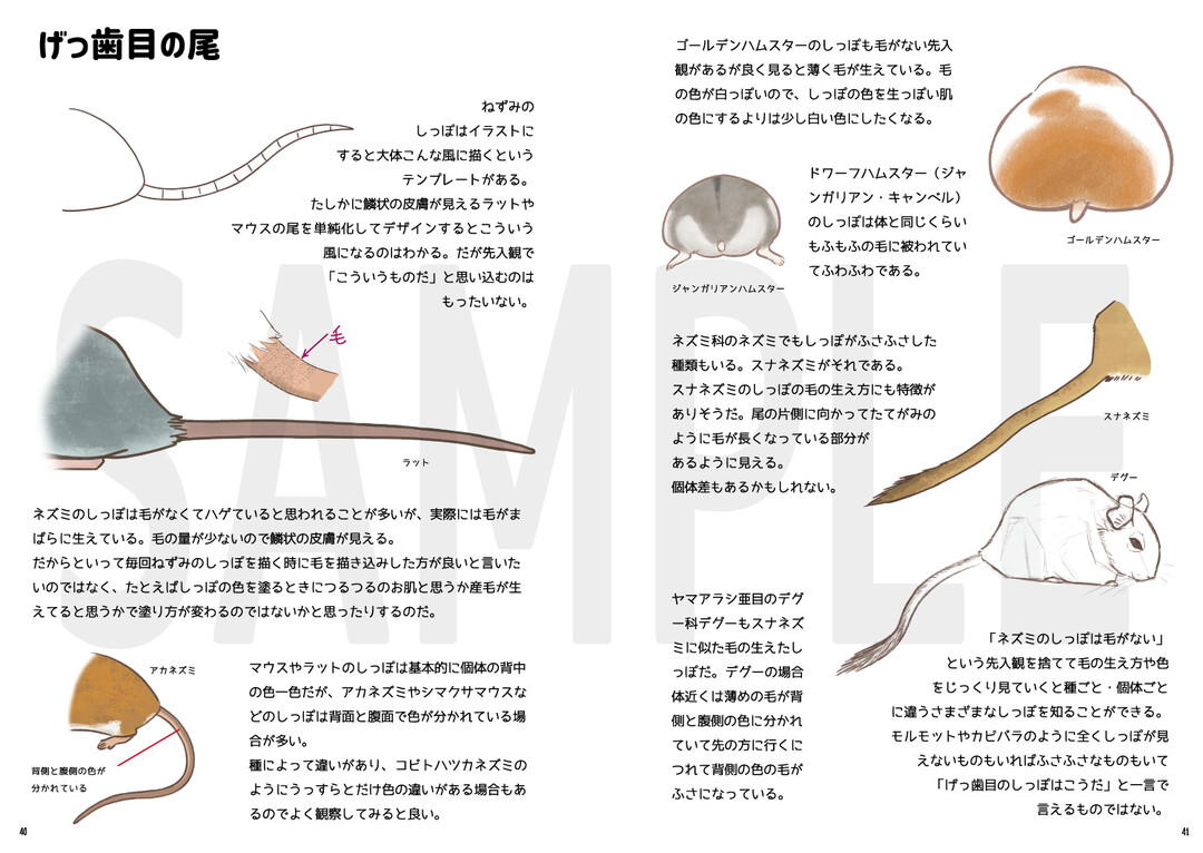 サンプル画像3